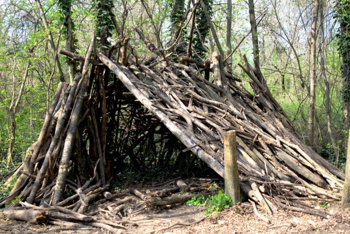survival base